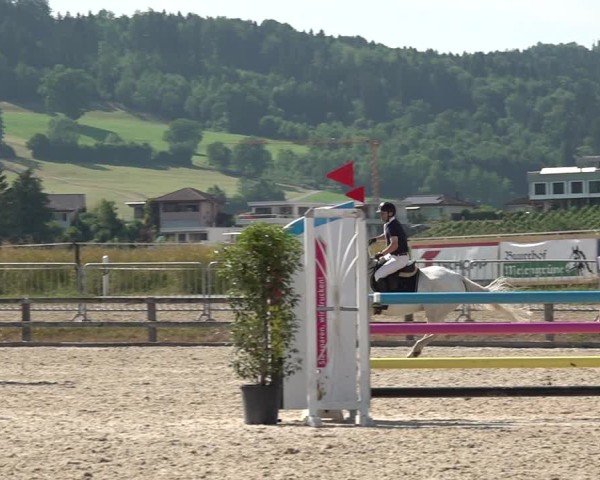 Reitturnier Hitzkirch 2025