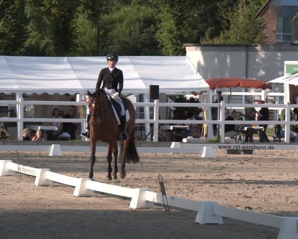 Reitturnier Dortmund-Somborn 2025