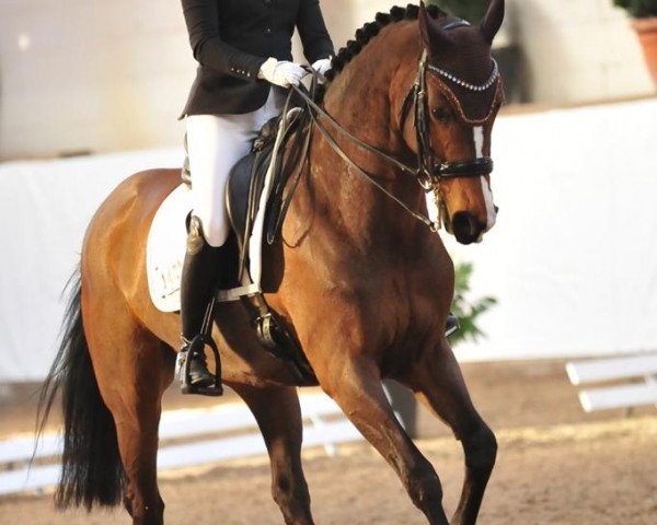 broodmare Lena 508 (German Sport Horse, 2009, from Lord Fantastic)