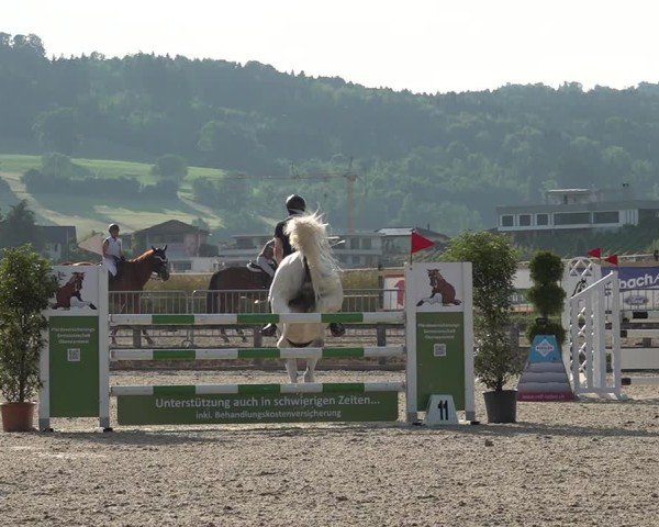 Reitturnier Hitzkirch 2025
