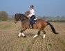 dressage horse Lord Lennart (Hanoverian, 2004, from Latimer)