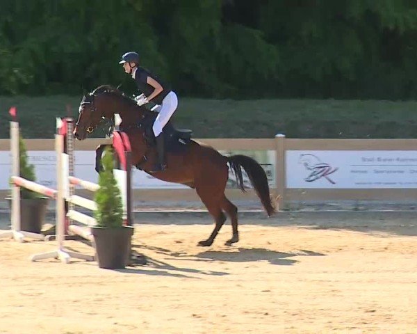 Reitturnier Tiefenhof/Opf. 2025