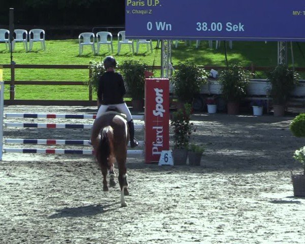 Reitturnier Breitenburg 2025