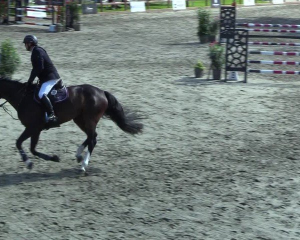 Reitturnier Breitenburg 2025