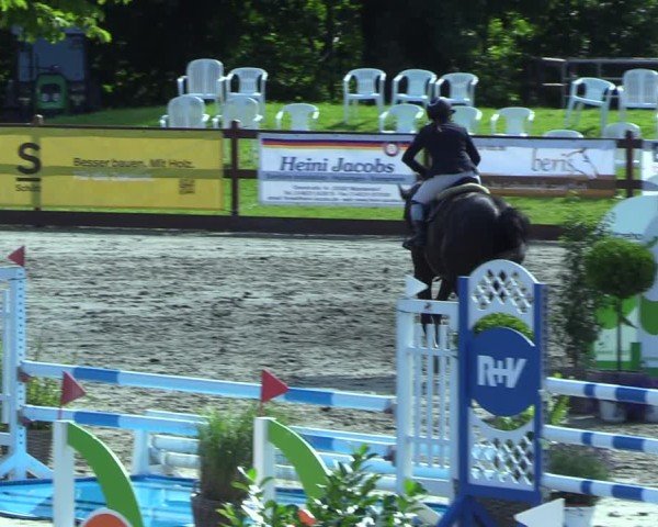 Reitturnier Breitenburg 2025