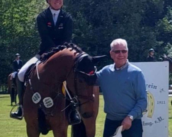 jumper Ningbo (Hanoverian, 2020, from Numero Uno)