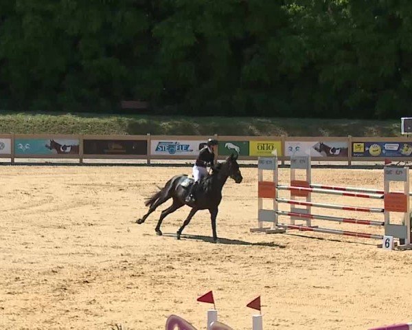 Reitturnier Tiefenhof/Opf. 2025