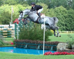 Springpferd Havinia van de Roshoeve (Belgisches Warmblut, 2007, von Cicero Z van Paemel)