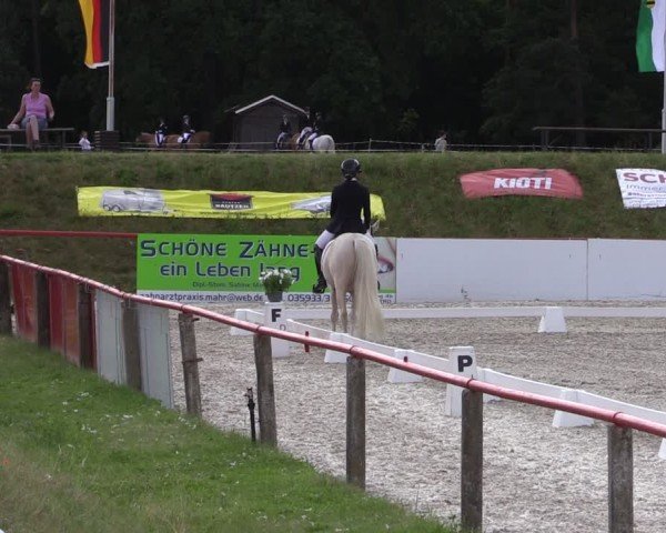 Reitturnier Holschdubrau 2025