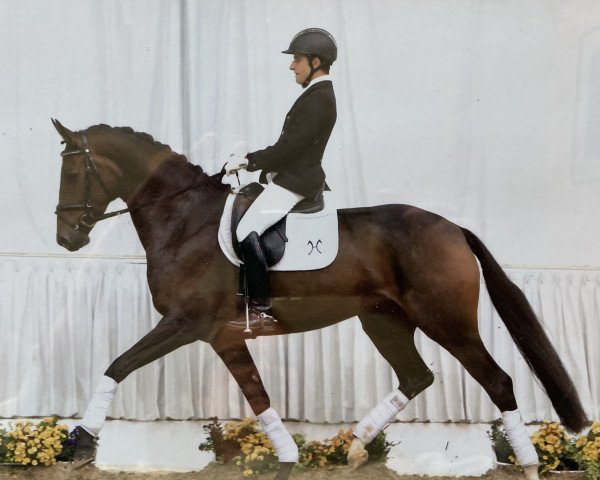 dressage horse Fine Flavia G (Hanoverian, 2012, from Fürstenball)