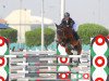 jumper Kylix Blue Star (Oldenburg show jumper, 2005, from Chacco-Blue)