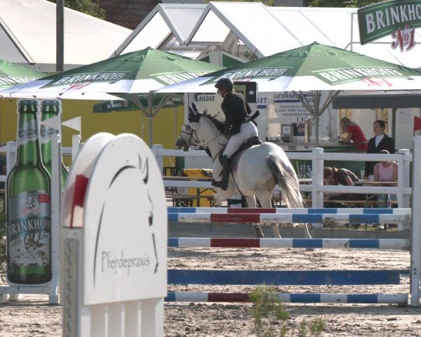 Reitturnier Dortmund-Somborn 2025