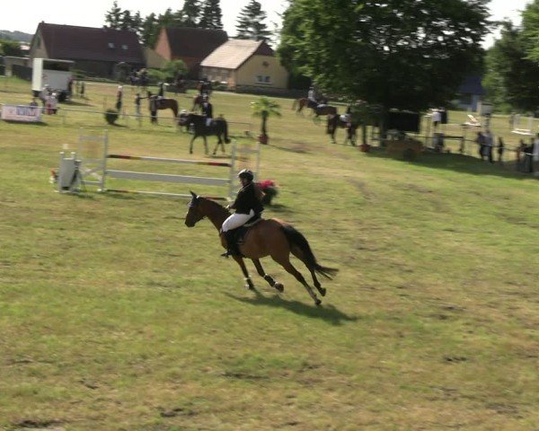 Reitturnier Uenze 2025