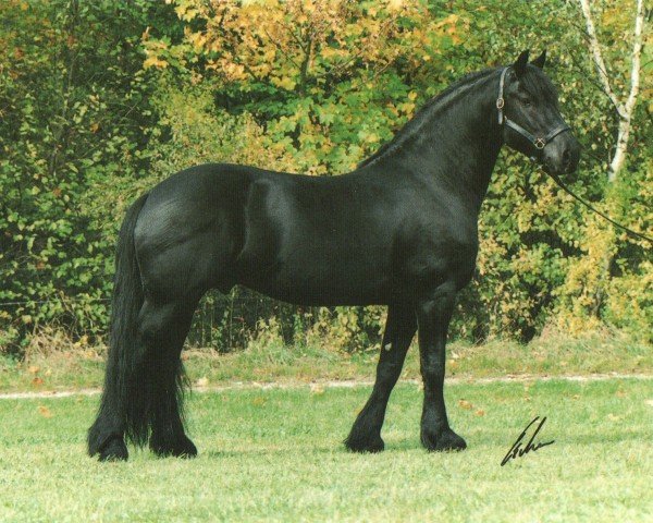 stallion Ulke fan Out-Stedma (Friese, 1990, from Hearke 254)