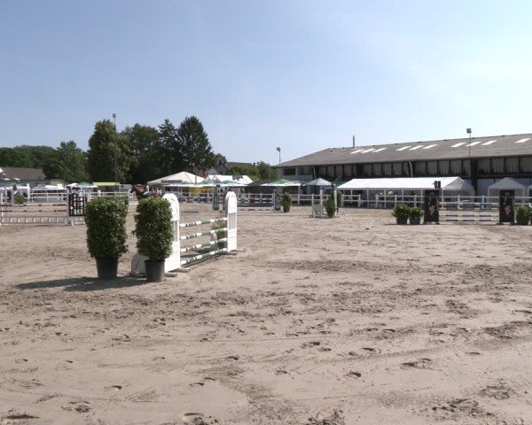 Reitturnier Dortmund-Somborn 2025