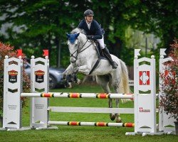 jumper Girl Power 2 (KWPN (Royal Dutch Sporthorse), 2011, from C-Ingmar)