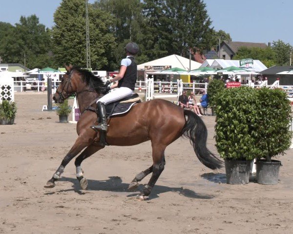 Reitturnier Dortmund-Somborn 2025