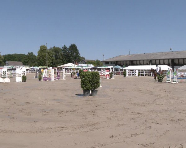 Reitturnier Dortmund-Somborn 2025