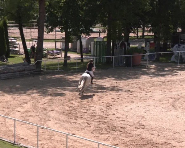 Reitturnier Stadl-Paura 2025