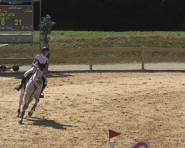 Reitturnier Tiefenhof/Opf. 2025