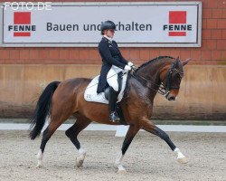 dressage horse Cafe's Caletta (Oldenburg, 2009, from Cafe au lait 2)