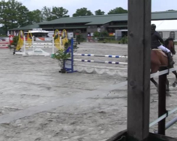 Coesfelder Reitertage 2014