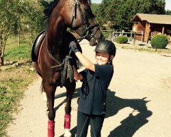 horse Piccolina Flori (German Riding Pony, 2011, from FS Pearcy Pearson)