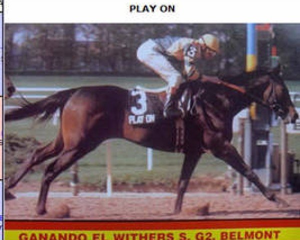 Deckhengst Play On xx (Englisches Vollblut, 1981, von Stop the Music xx)