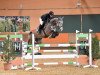 jumper Stakko Coeur (Oldenburg show jumper, 2014, from Stakkato Gold)