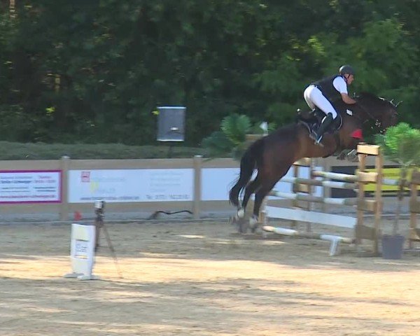 Reitturnier Tiefenhof/Opf. 2025