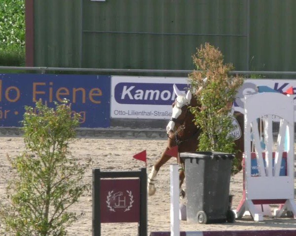 Reitturnier Harsum-Hüddessum 2025