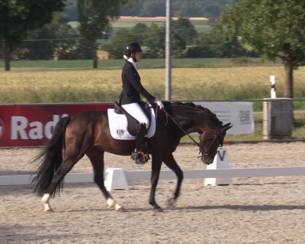Reitturnier Rot am See- Musdorf 2025