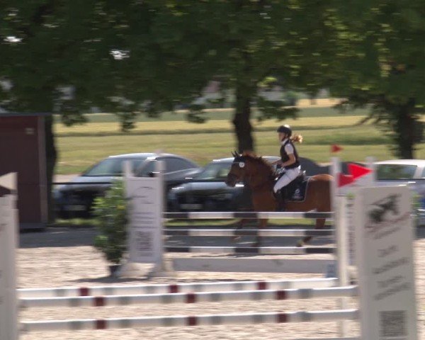 Reitturnier Rot am See- Musdorf 2025