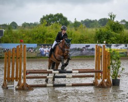 dressage horse FH Night Style (German Riding Pony, 2010, from Nightfire)