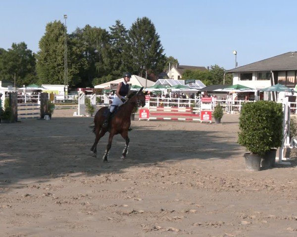 Reitturnier Dortmund-Somborn 2025
