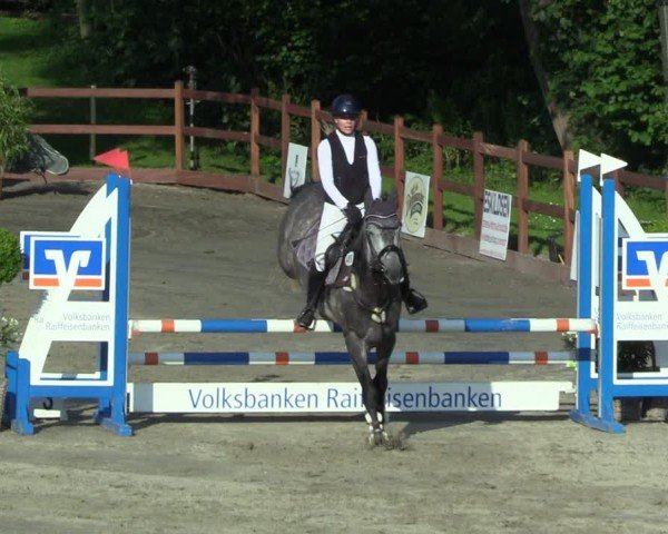 Reitturnier Breitenburg 2025