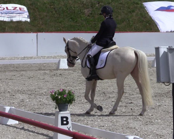Reitturnier Holschdubrau 2025