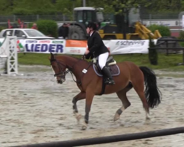 Dressur- und Springturnier Halver 2014