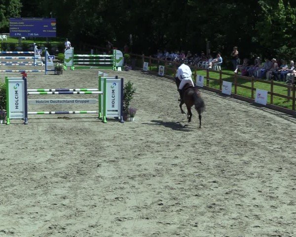 Reitturnier Breitenburg 2025