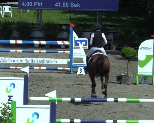 Reitturnier Breitenburg 2025