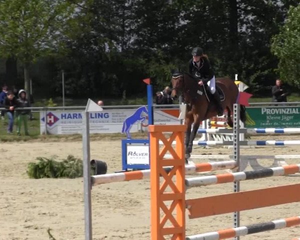 Coesfelder Reitertage 2014