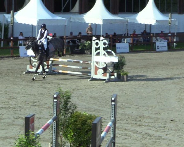 Reitturnier Breitenburg 2025