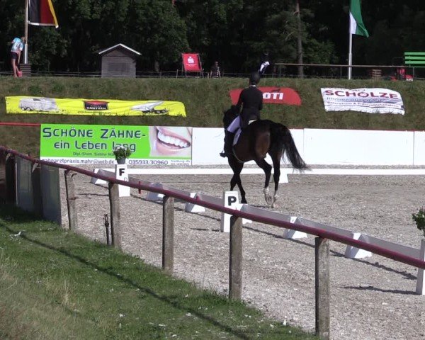 Reitturnier Holschdubrau 2025