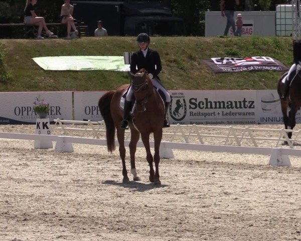 Reitturnier Holschdubrau 2025