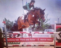 jumper Kira Lou (Hungarian Warmblood, 2001, from Cannonball)