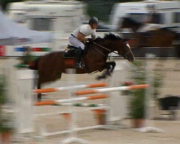 jumper Candy Sue 4 (Bavarian, 2011, from Curriculo)