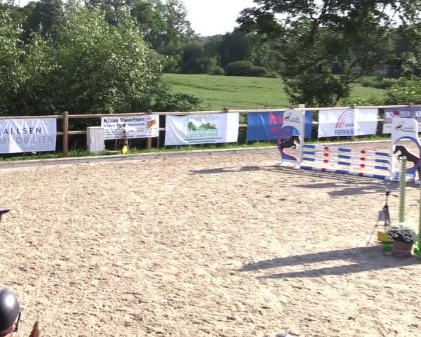 Reitturnier Sörup 2025