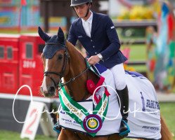 jumper Carlito C (Belgian Warmblood, 2002, from Kannan)