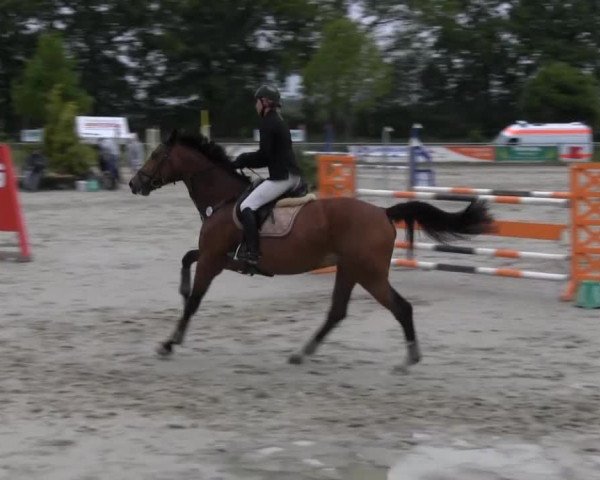 Coesfelder Reitertage 2014