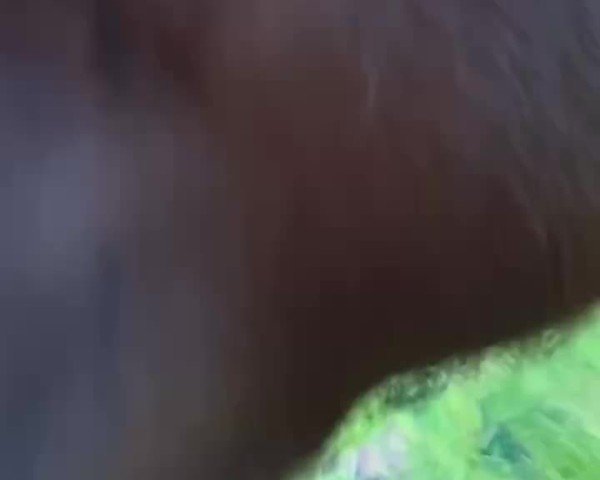 Video of Lauriel